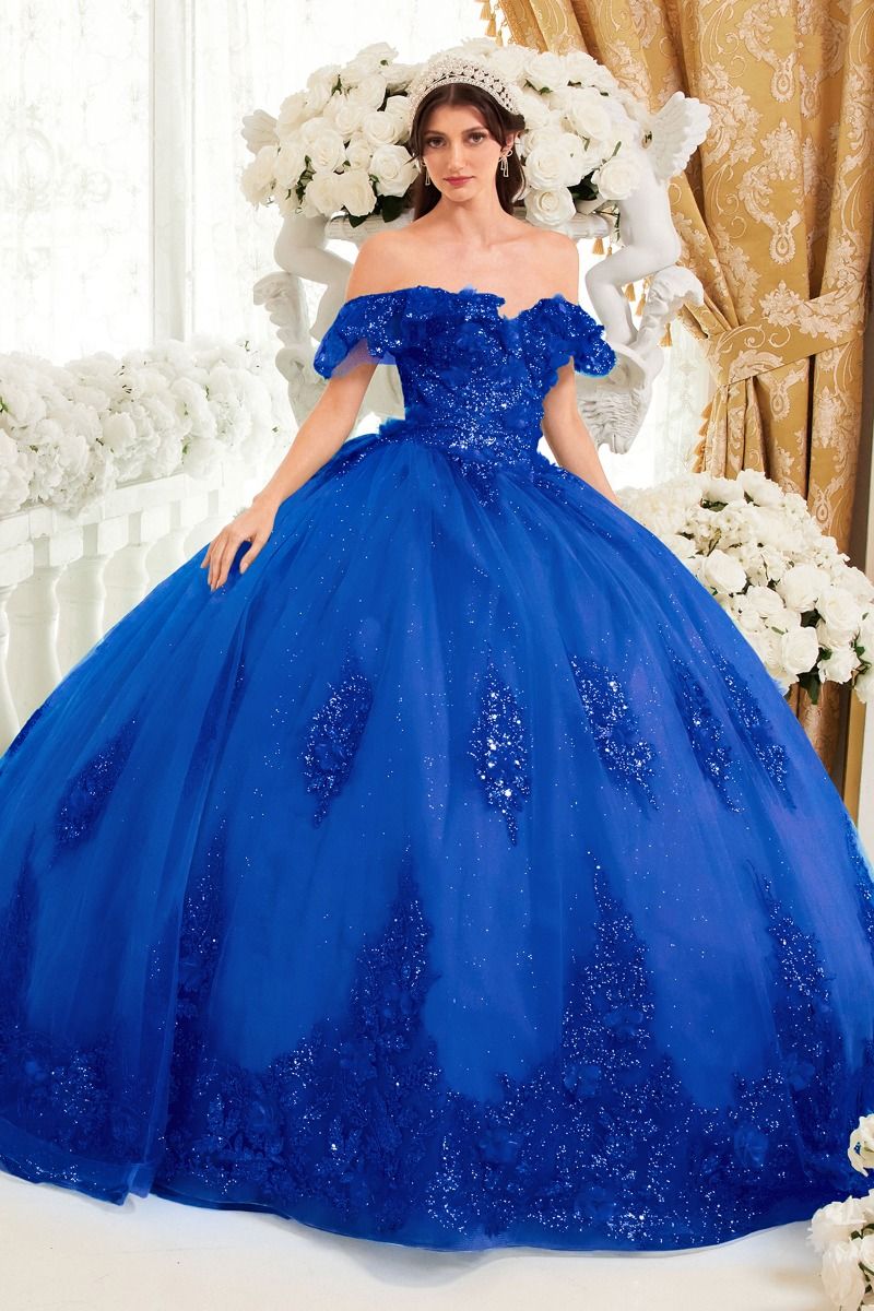 Floral Off The Shoulder Quinceañera Ball Gown (15701)