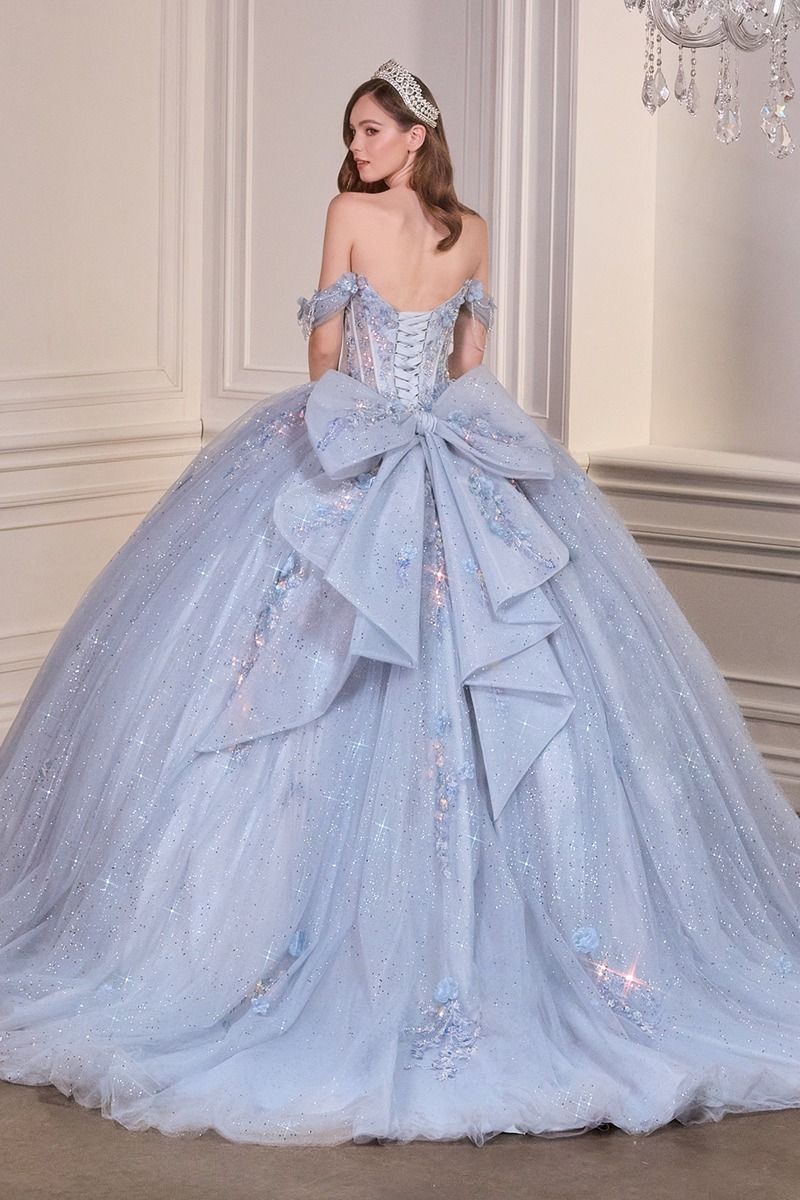 Enchanting Fairytale Ball Gown With 3D Floral Appliqué Ball Gown (15728)