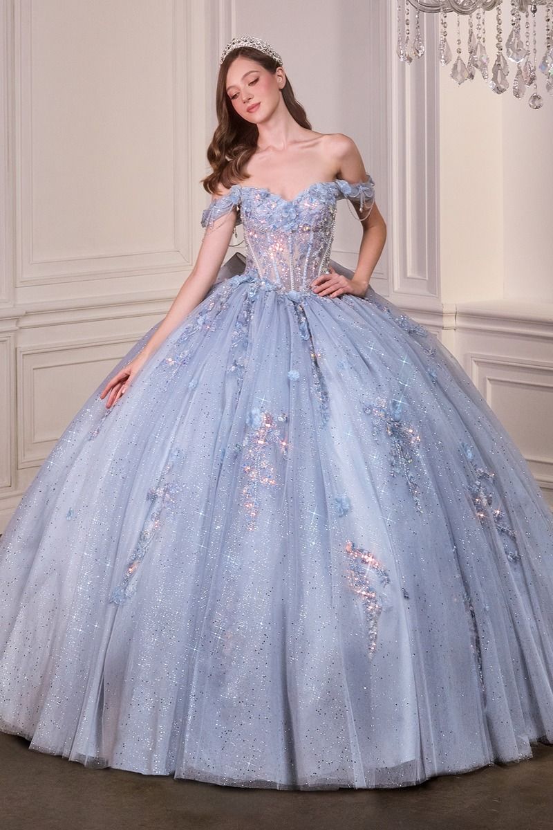 Enchanting Fairytale Ball Gown With 3D Floral Appliqu Ball Gown (15728)