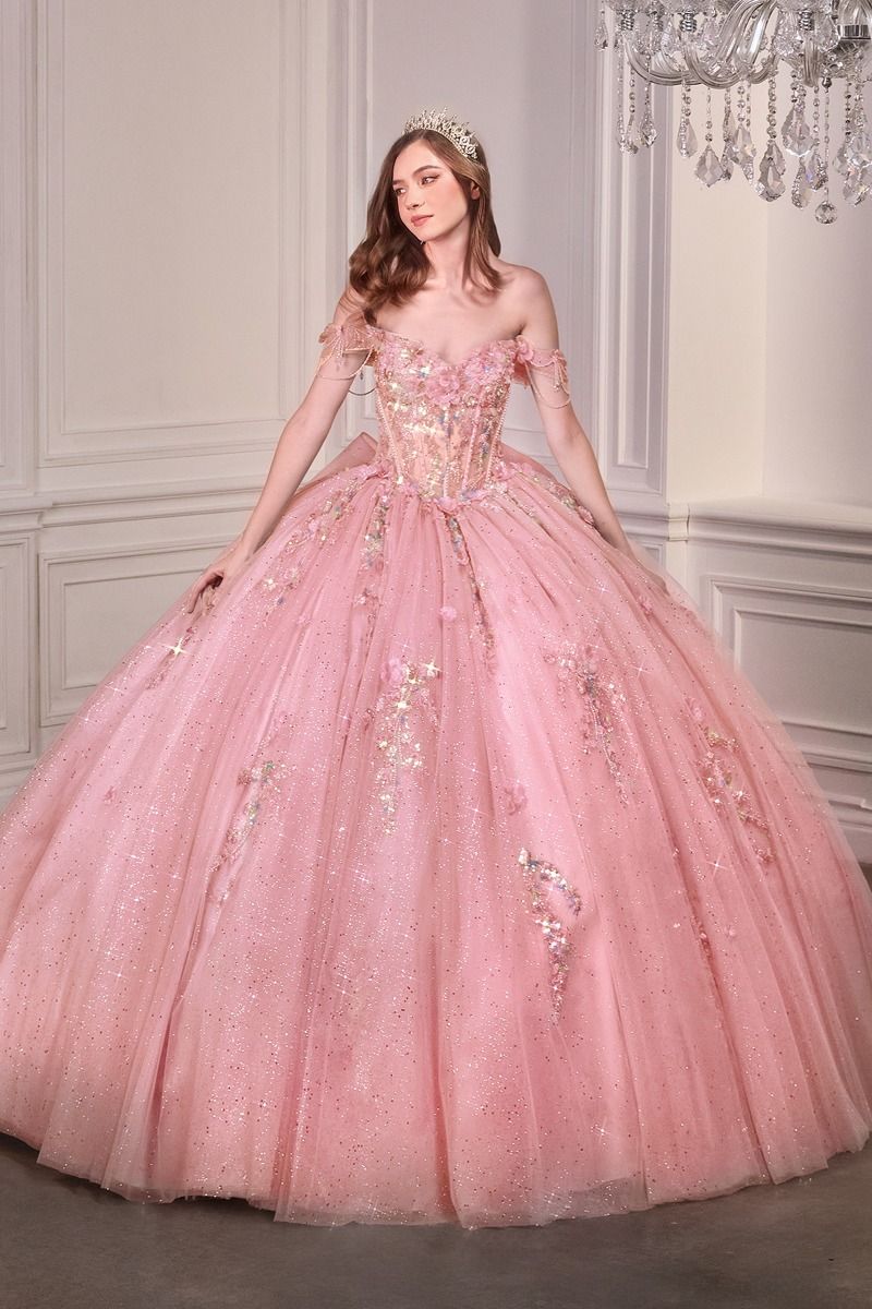 Enchanting Fairytale Ball Gown With 3D Floral Appliqué Ball Gown (15728)