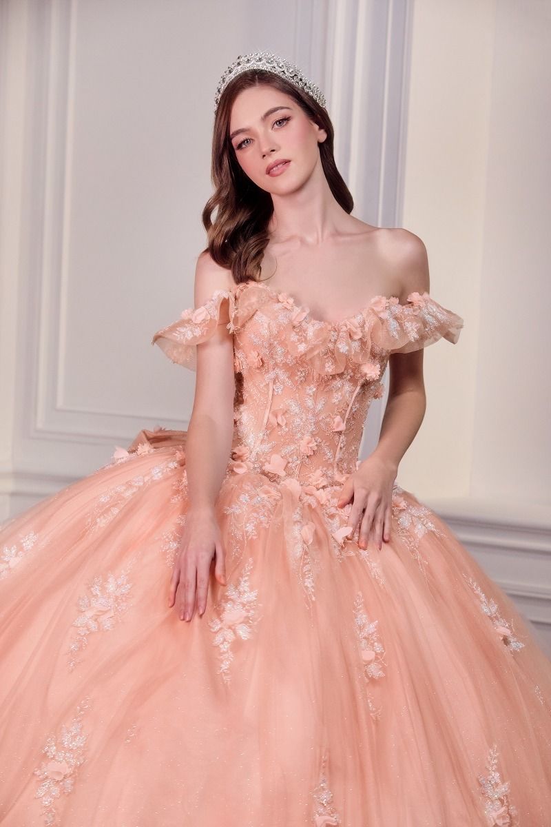 Off-Shoulder Floral Appliqué Corset Quinceañera Gown (15731)