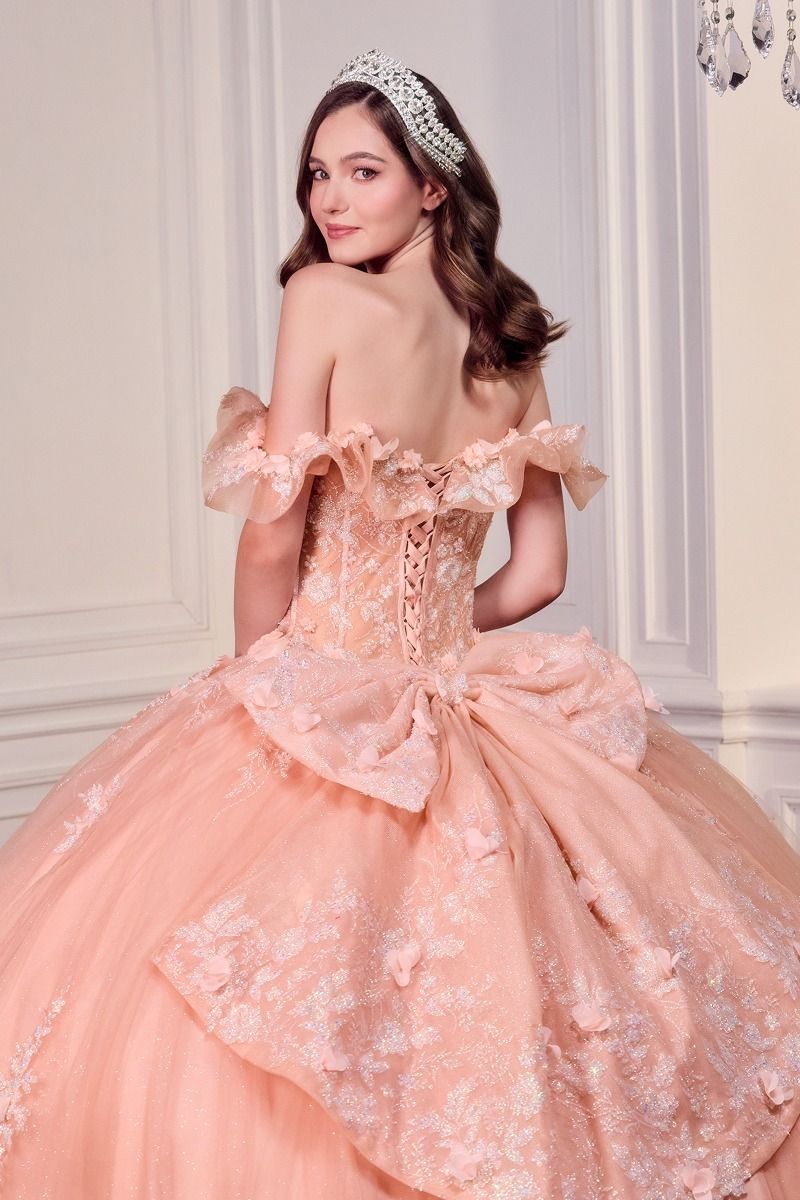 Off-Shoulder Floral Appliqué Corset Quinceañera Gown (15731)
