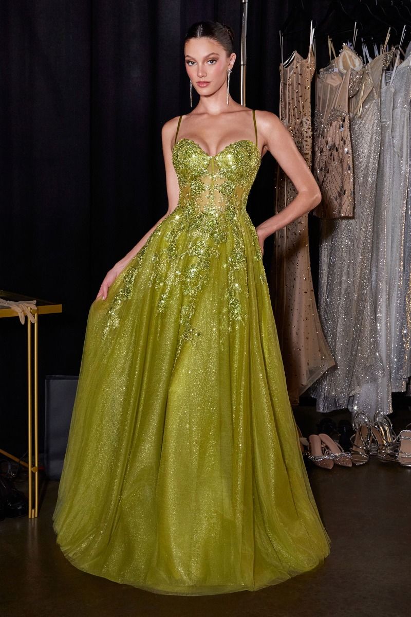 Floral Beaded Corset Ball Gown with Glitter Tulle Skirt (C177)