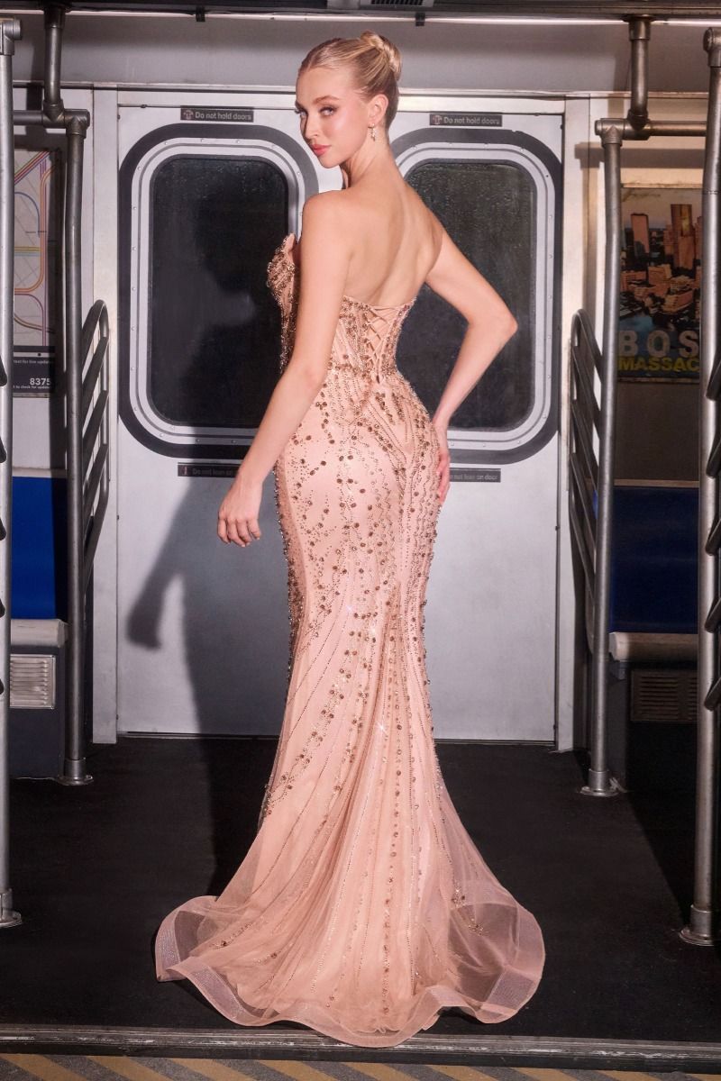 Strapless Illusion Corset with Crystal Bodice Mermaid Gown (CC8262)