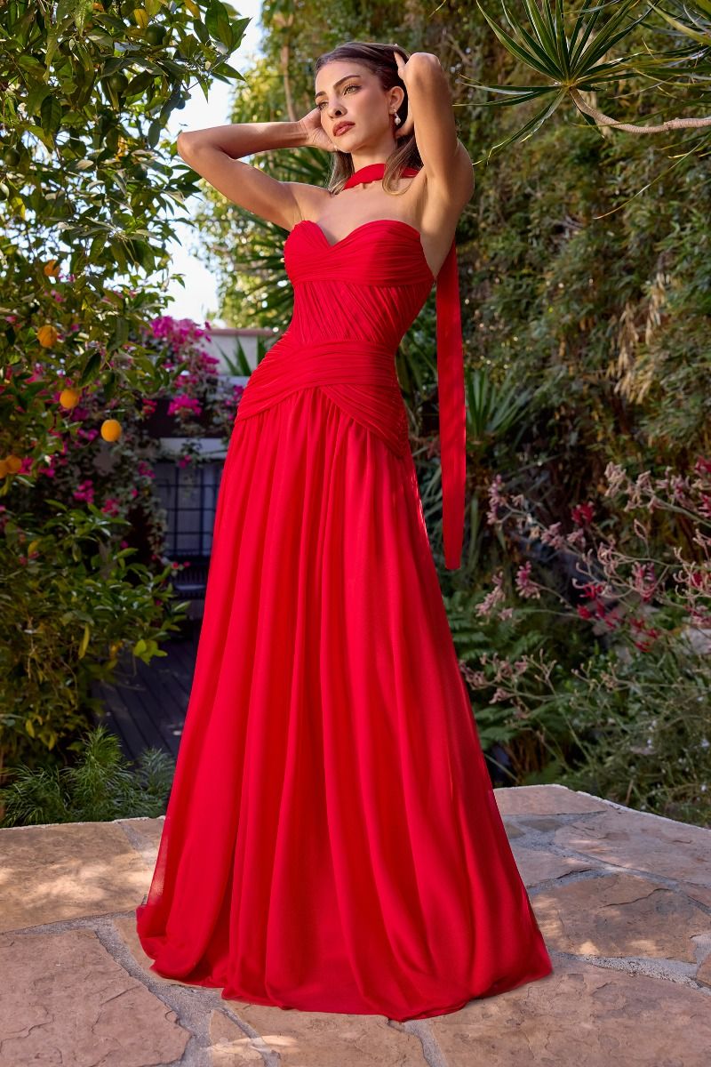 A-line Gown With Pleated Bodice and Chiffon Scarf (CD395)