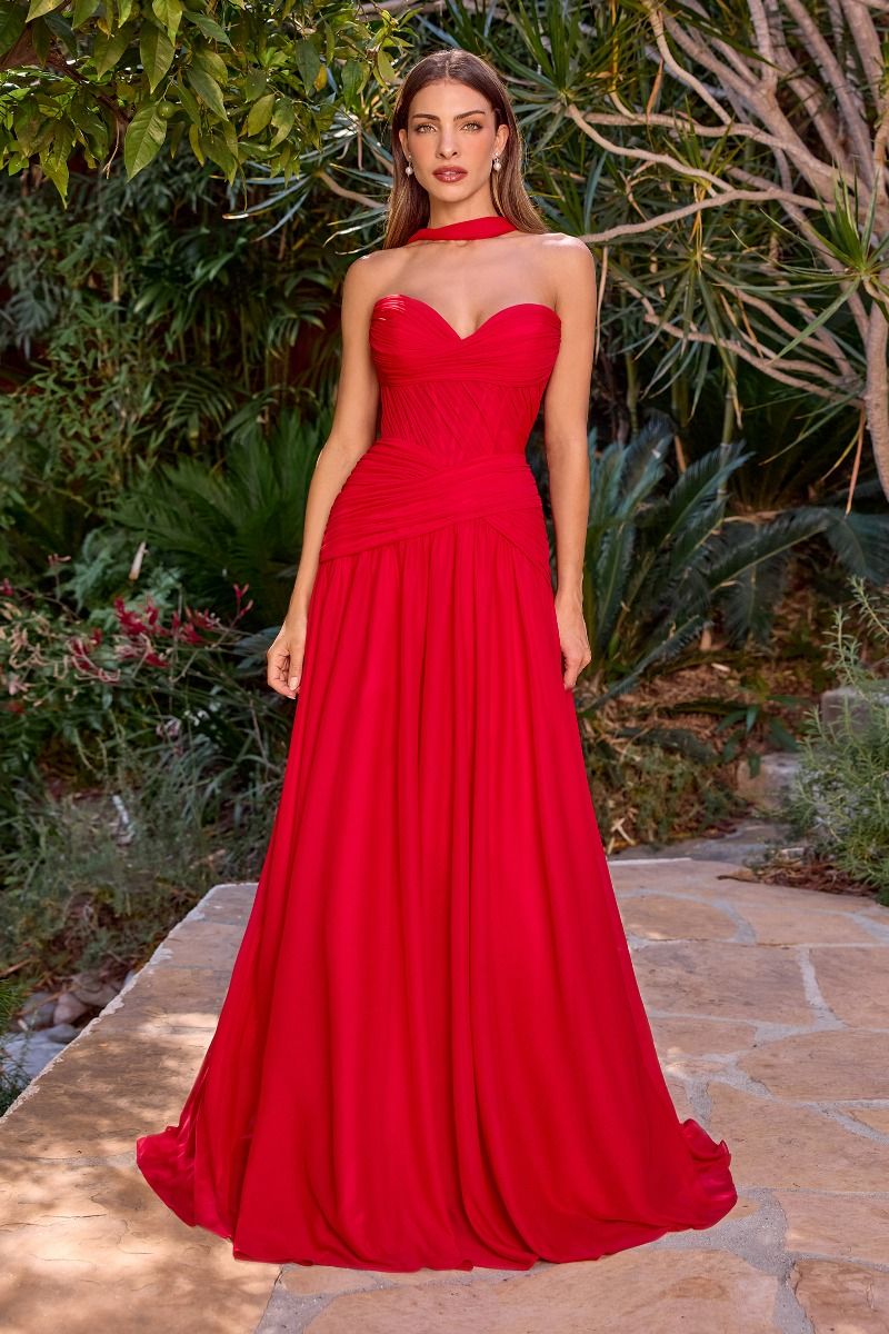 A-line Gown With Pleated Bodice and Chiffon Scarf (CD395)