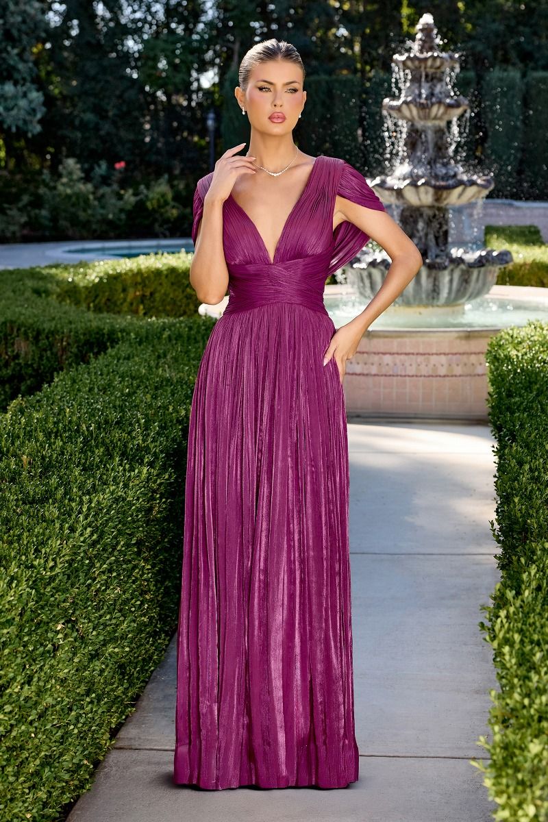 Glamorous Deep V-Pleated Chiffon A-Line Gown (CD413)