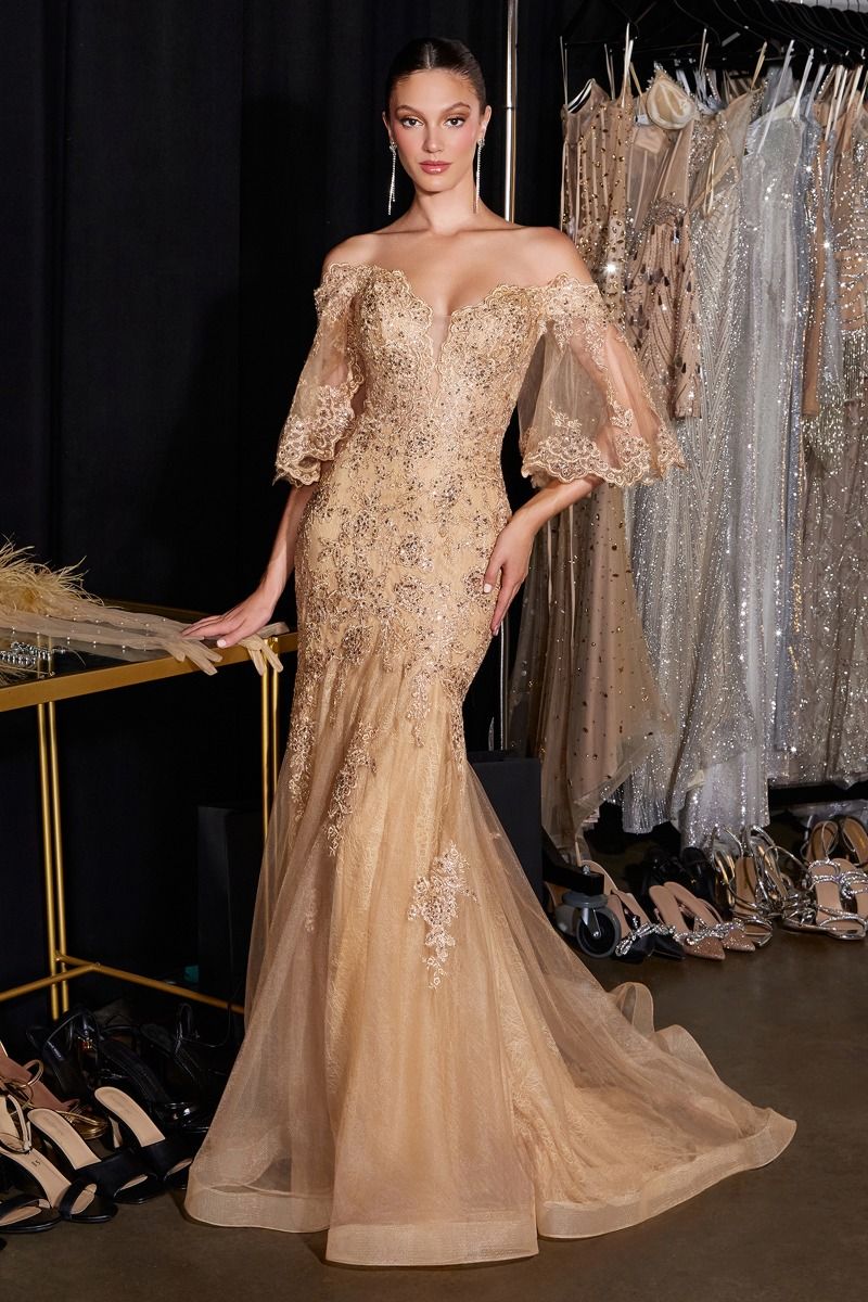 Fitted Lace Mermaid Gown With Bell Sleeves (CD659)