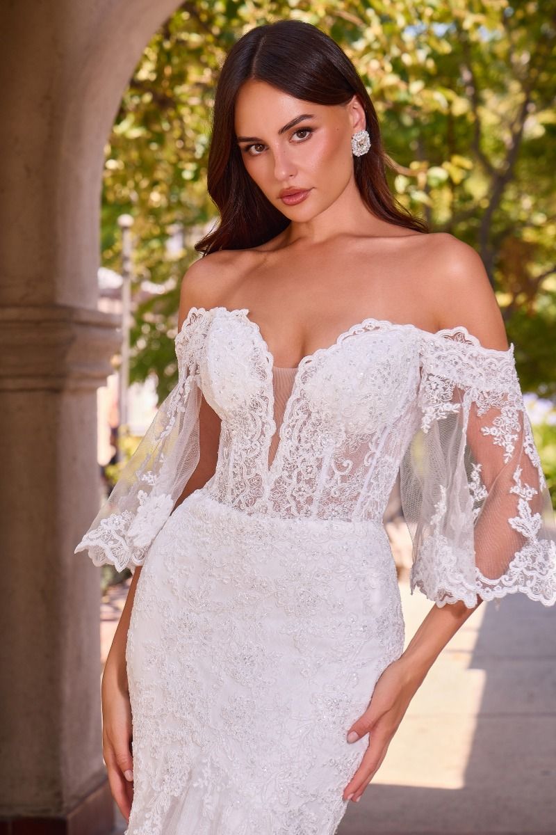 Off The Shoulder Lace Mermaid Wedding Gown (CD659W)