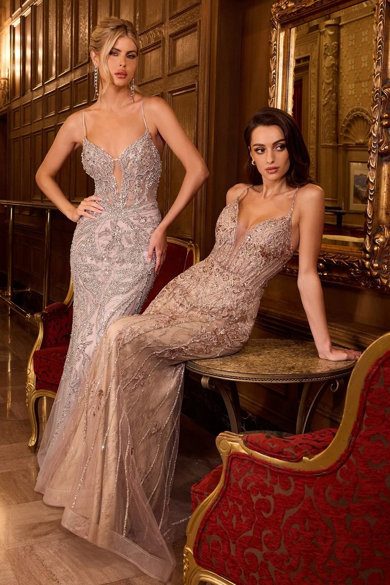 Opulent Plunging Beaded Lace Corset with Mermaid Gown (CC0240)