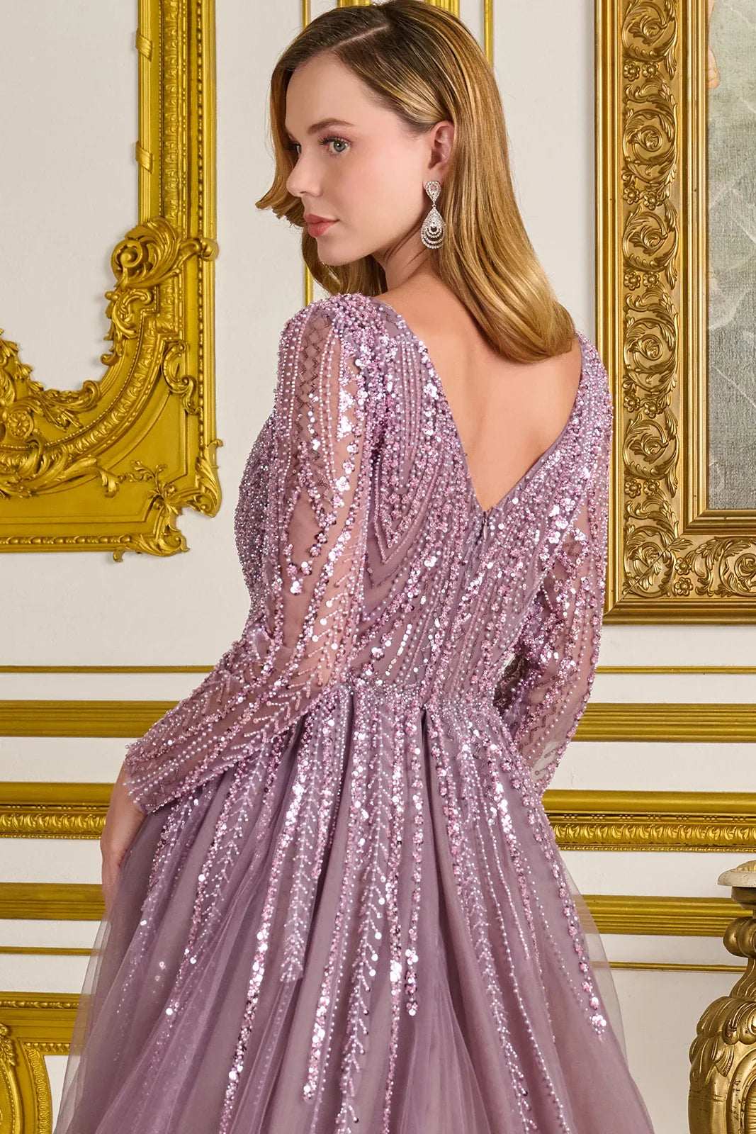 Embellished V-Neckline Long Sleeves Zipper V-Back A-Line Dress With Overskirt (GL3832)