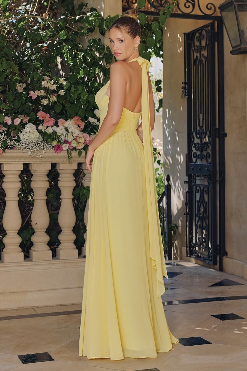 Halter Chiffon A-Line Gown with Open Tie Back (T715)