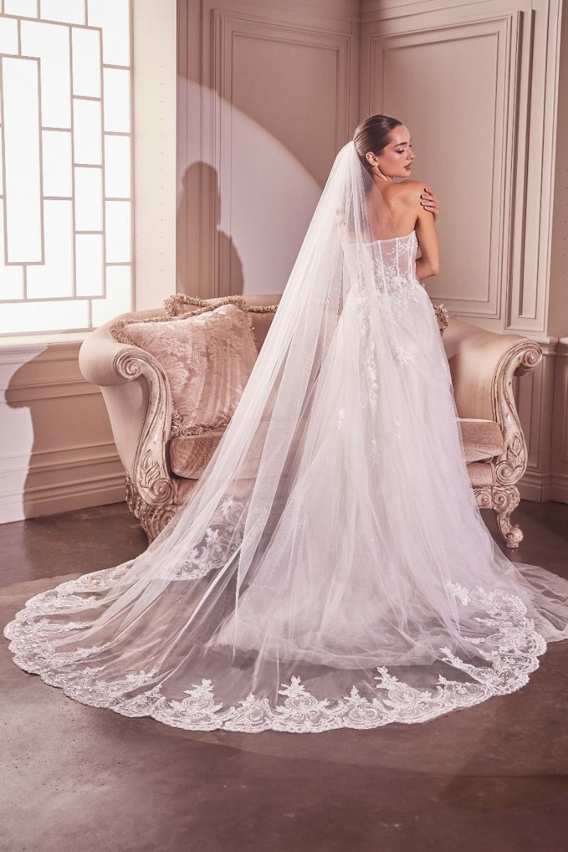 Embroidery Hem Lace Chapel Veil (V004)