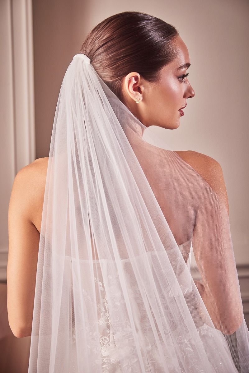 Embroidery Hem Lace Chapel Veil (V004)