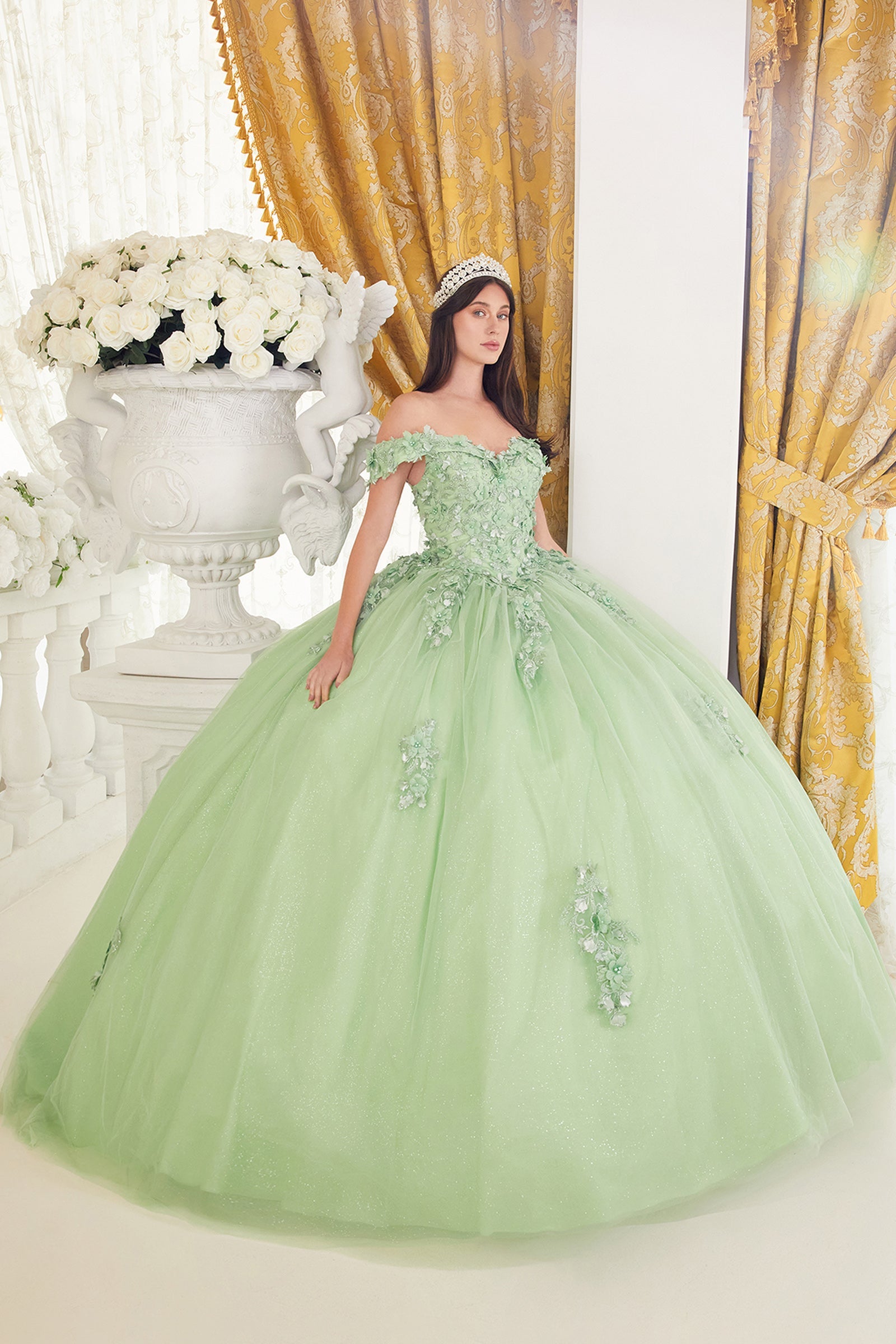 Lace Off The Shoulder Layered Tulle Ball Gown (15710)