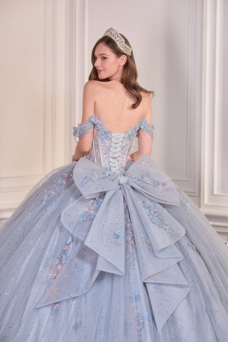 Enchanting Fairytale Ball Gown With 3D Floral Appliqué Ball Gown (15728)