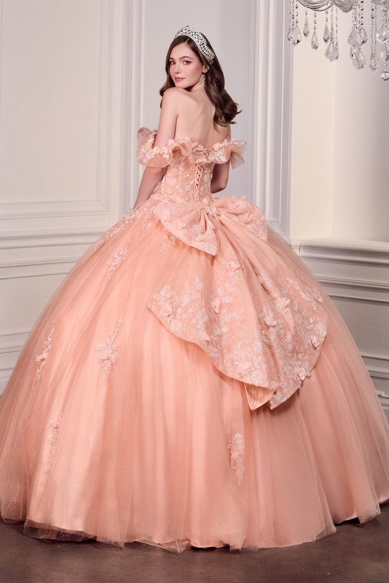 Off-Shoulder Floral Appliqué Corset Quinceañera Gown (15731)