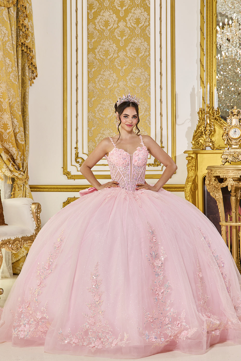 Floral Applique Sheer Corset Ball Gown with Glitter Tulle Skirt (5119)