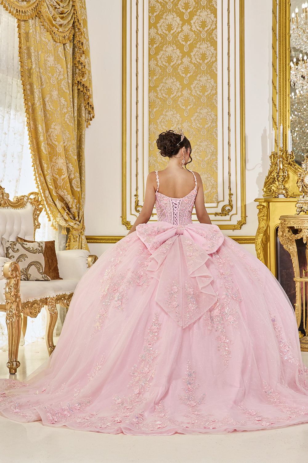 Floral Applique Sheer Corset Ball Gown with Glitter Tulle Skirt (5119)