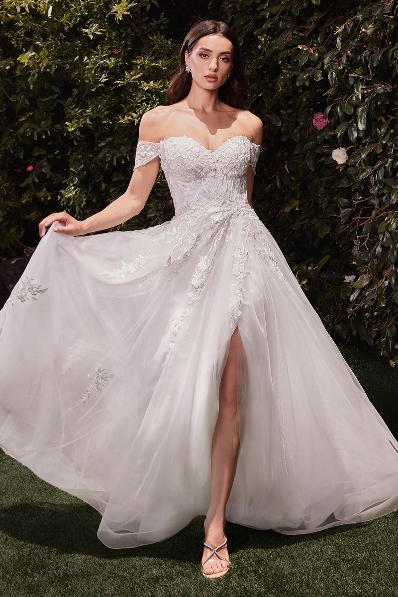 Off The Shoulder A-Line Lace & Tulle Wedding Dress (C159W)