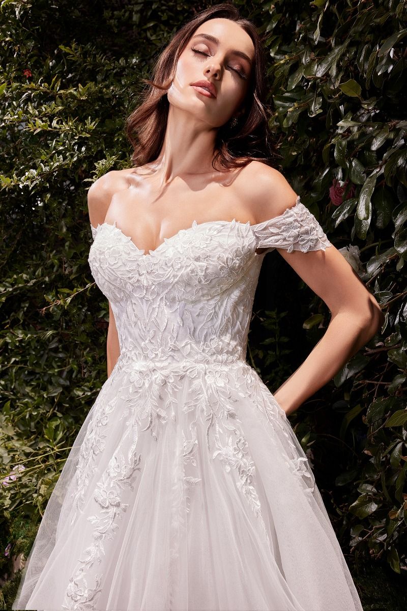 Off The Shoulder A-Line Lace & Tulle Wedding Dress (C159W)