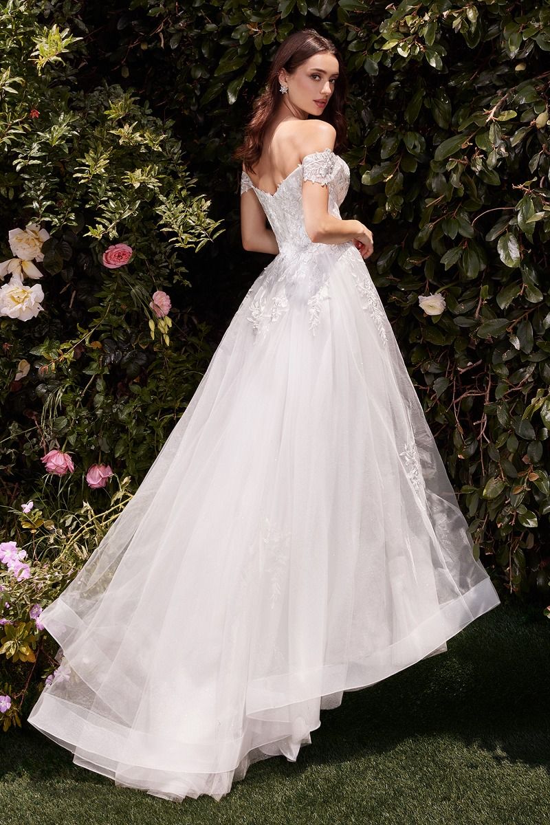 Off The Shoulder A-Line Lace & Tulle Wedding Dress (C159W)