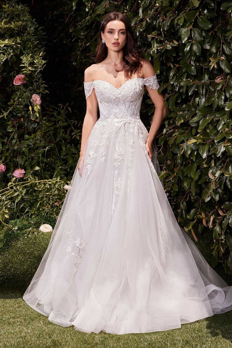 Off The Shoulder A-Line Lace & Tulle Wedding Dress (C159W)