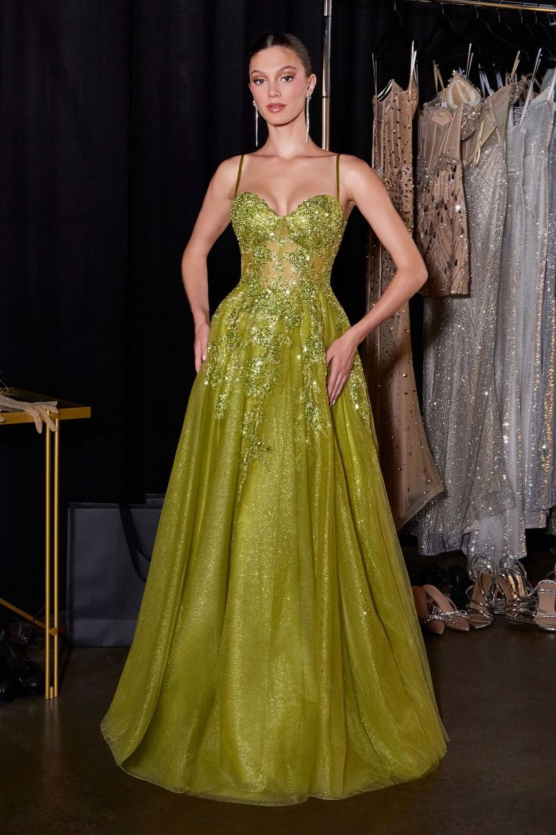 Floral Beaded Corset Ball Gown with Glitter Tulle Skirt (C177)