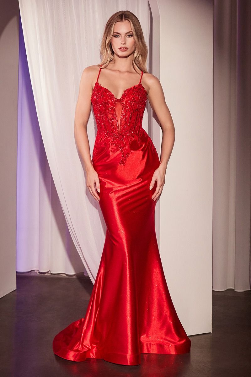 Embellished Lace & Satin Fitted Gown (CC2401)