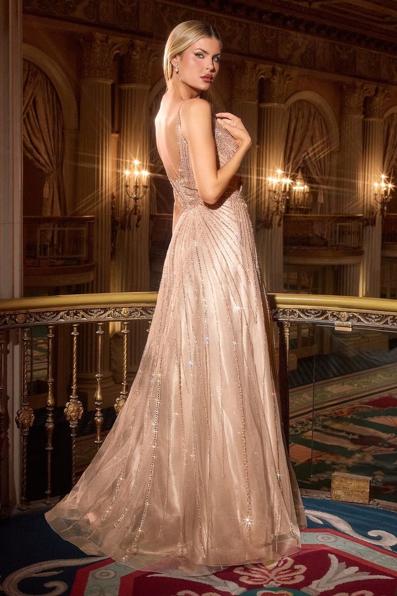 V-Neck Beaded Tulle A Line Gown (CC474)