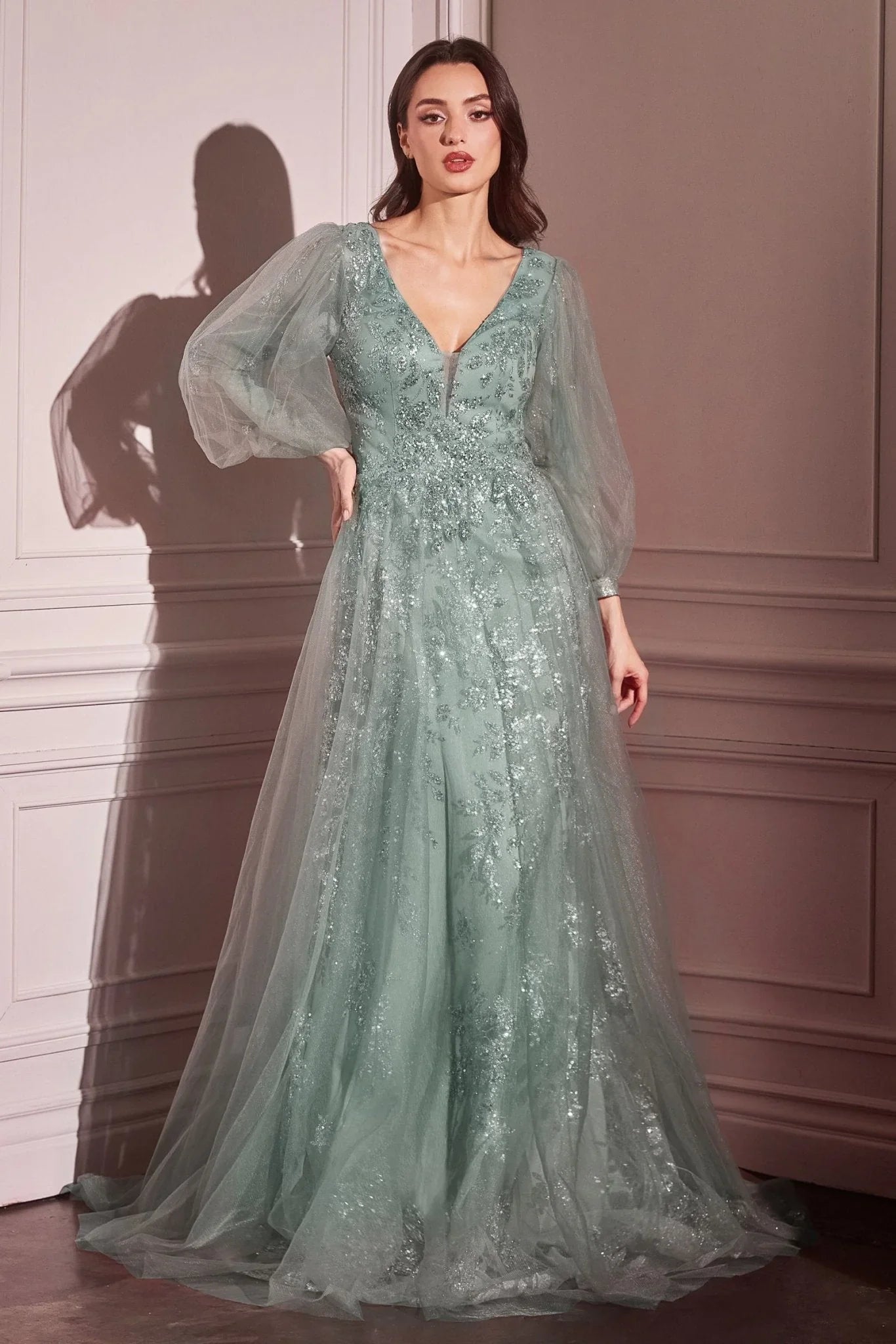 Long Sleeve Layered Tulle A-Line Gown (CD0102)