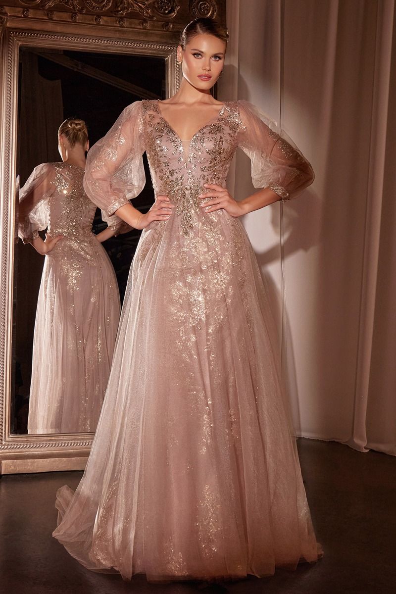 Long Sleeve Layered Tulle A-Line Gown (CD0102)