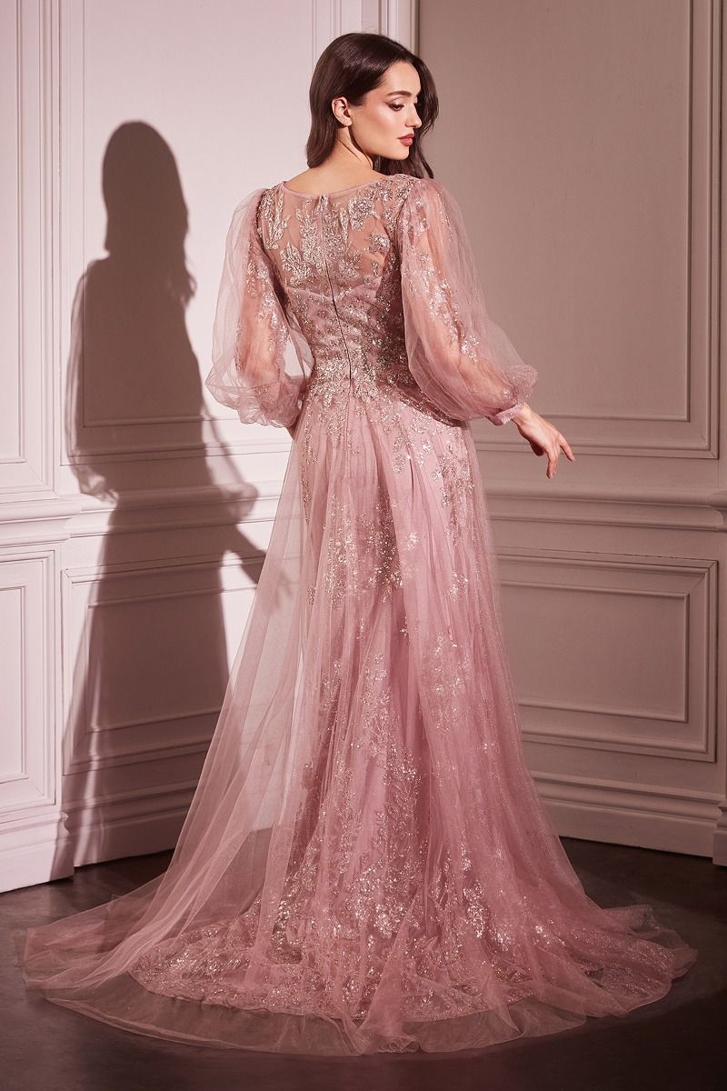 Long Sleeve Layered Tulle A-Line Gown (CD0102)