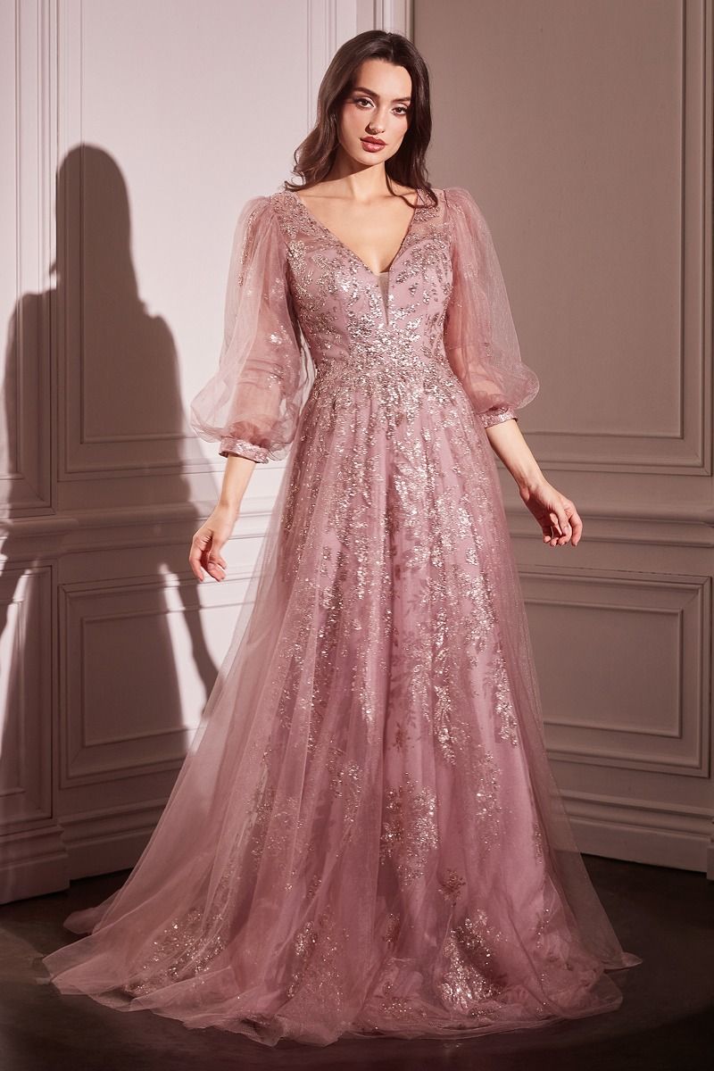 Long Sleeve Layered Tulle A-Line Gown (CD0102)