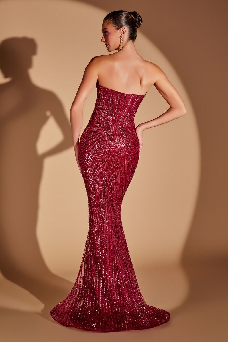 Radiant Sunburst Crystal Mermaid Gown (CD0108)
