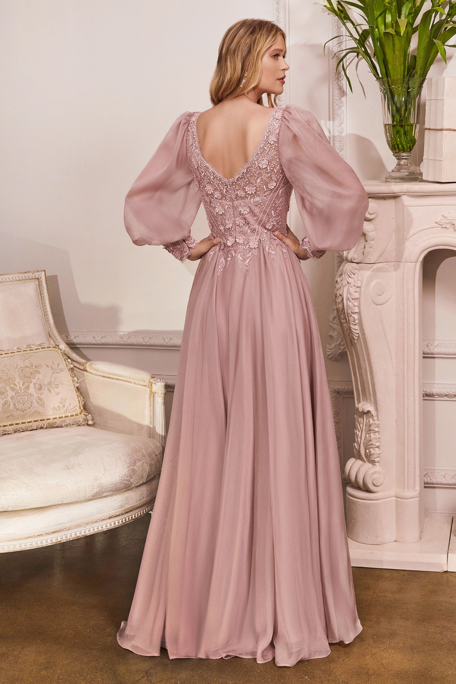 Long Sleeve Chiffon Evening Gown (CD0183)