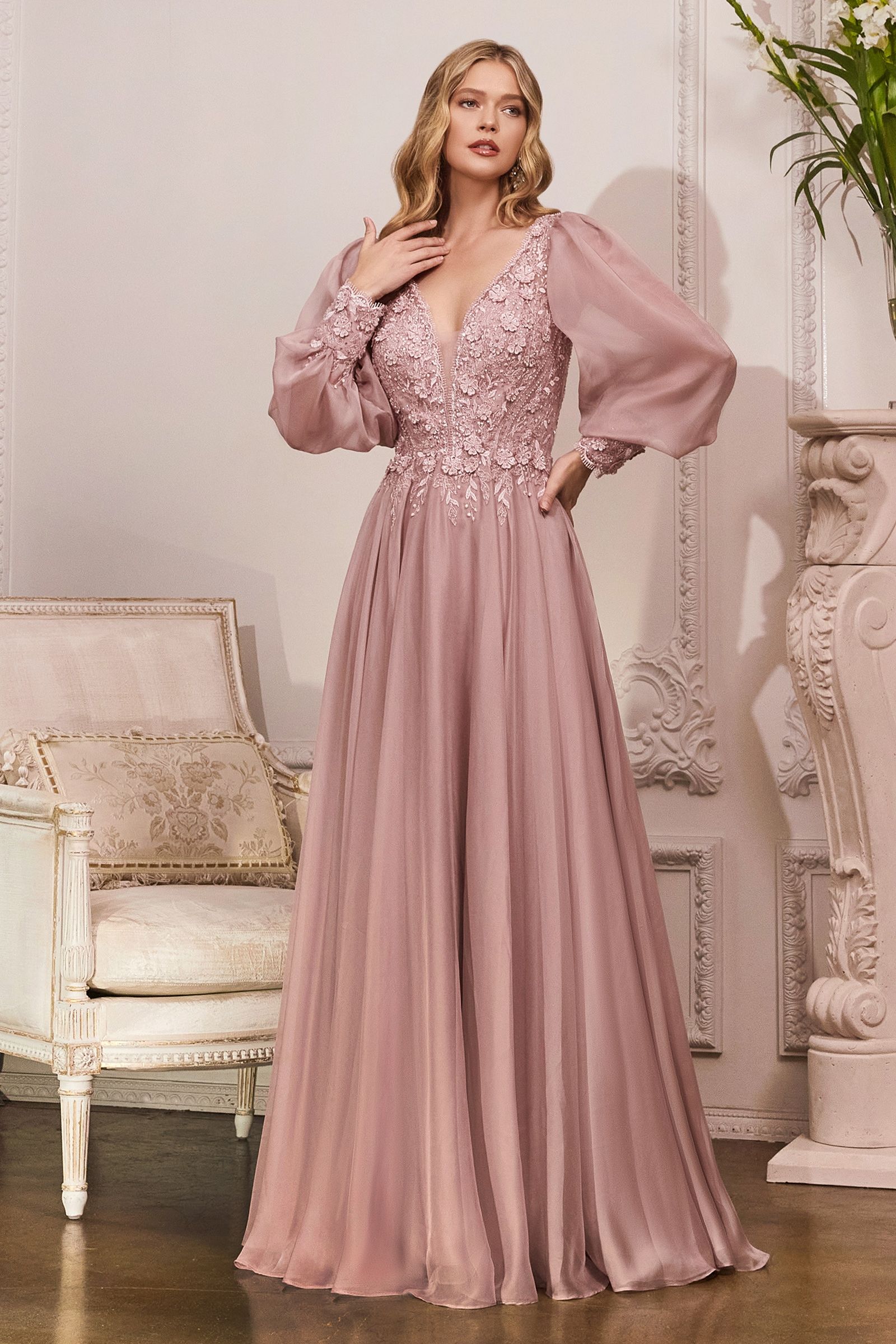 Long Sleeve Chiffon Evening Gown (CD0183)