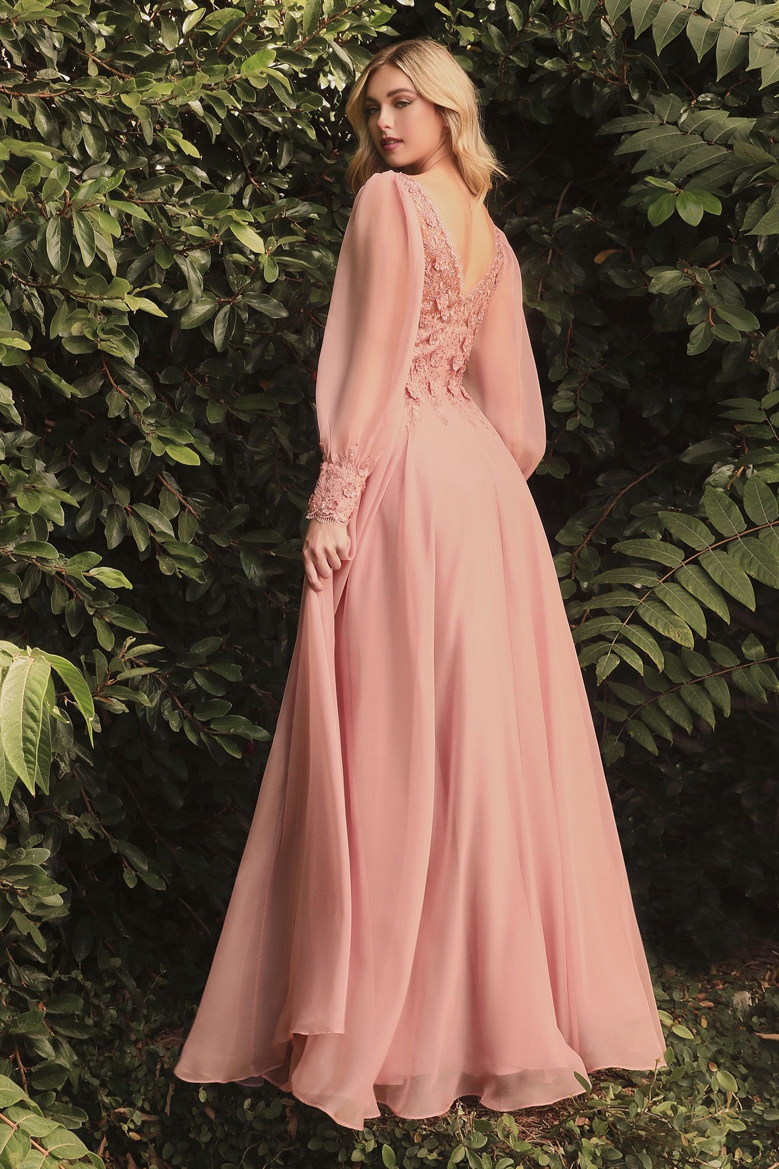 Long Sleeve Chiffon Evening Gown (CD0183)