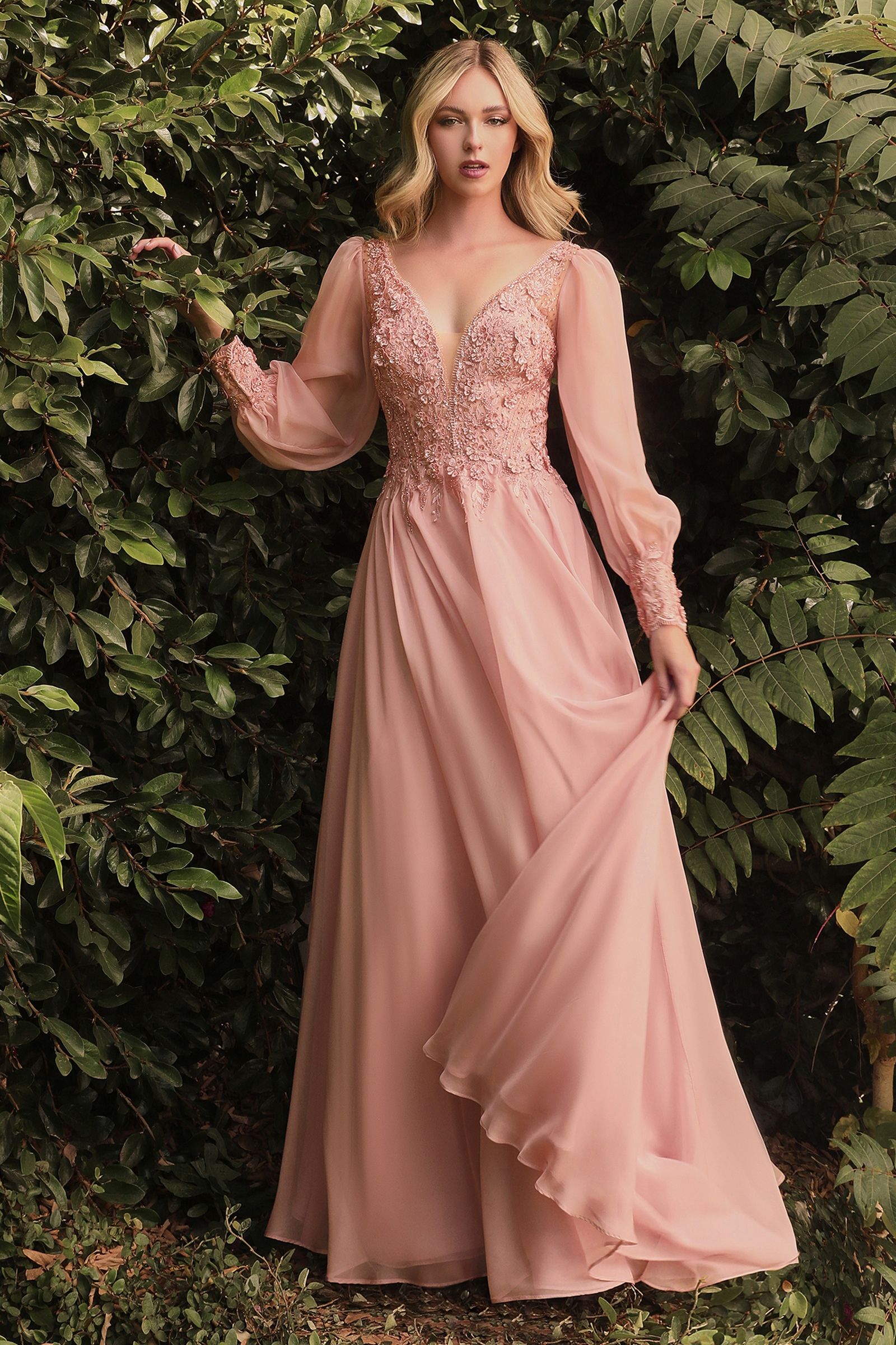 Long Sleeve Chiffon Evening Gown (CD0183)