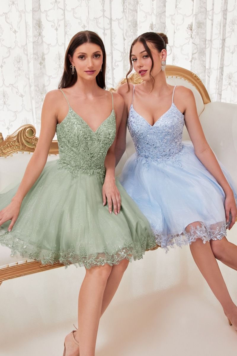 Short A-Line Lace & Tulle Dress (CD0213)