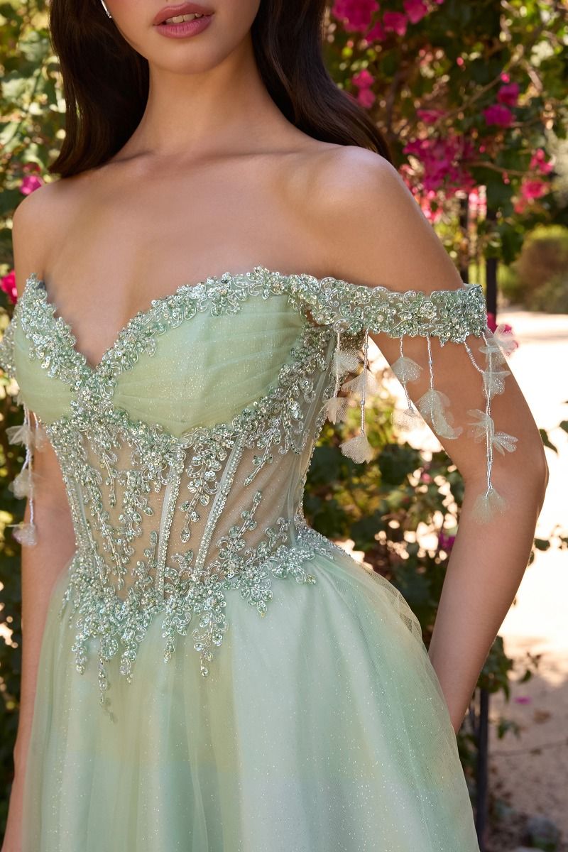 Off The Shoulder A-Line Tulle Short Dress (CD0247)