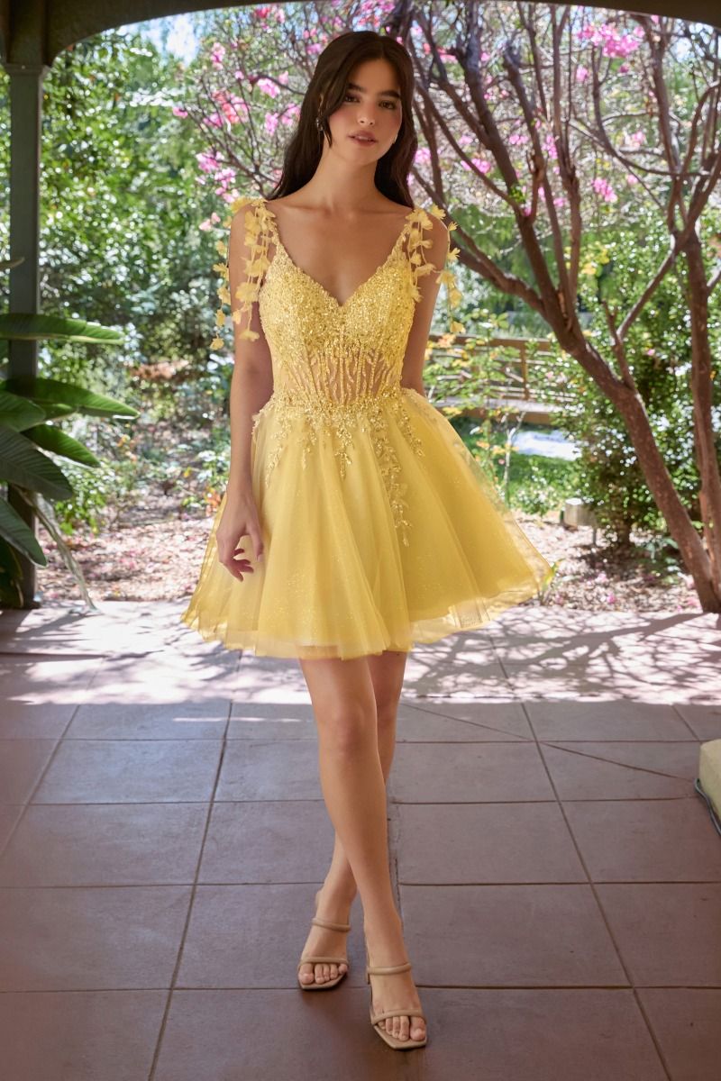 Tulle A-Line Short Dress With Floral Details (CD0249)