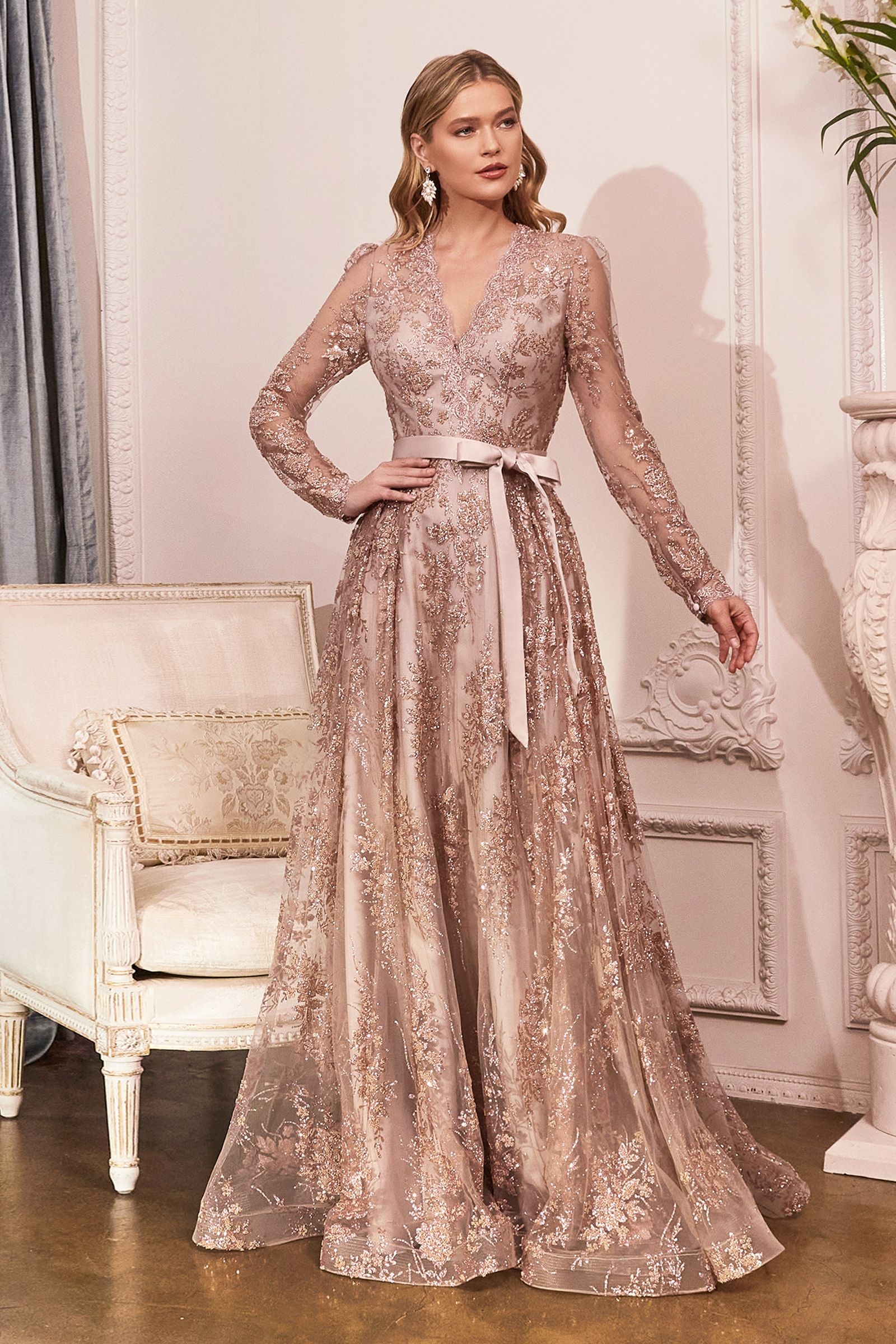 Long Sleeve Embellished Ball Gown (CD233C)