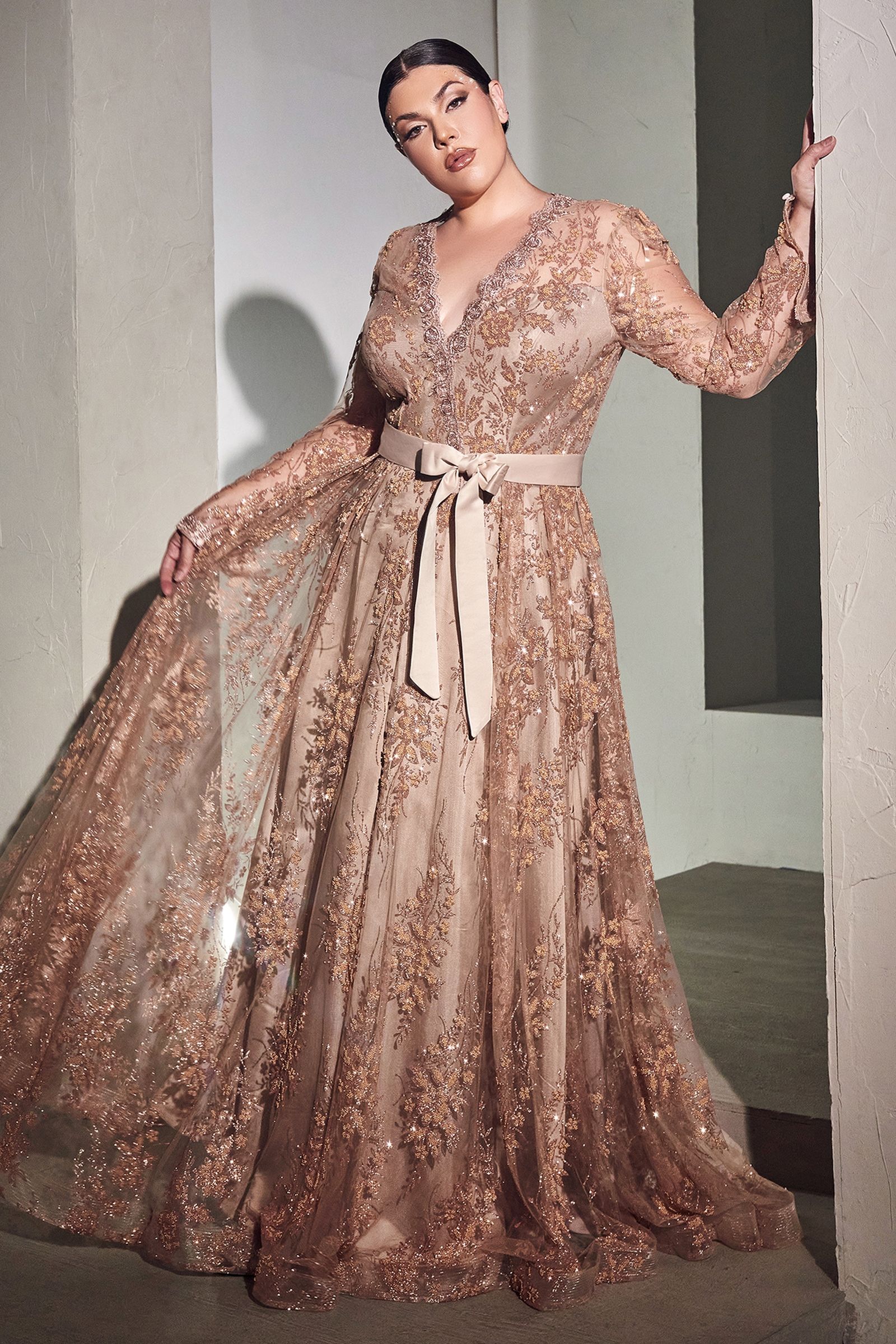 Long Sleeve Embellished Ball Gown (CD233C)