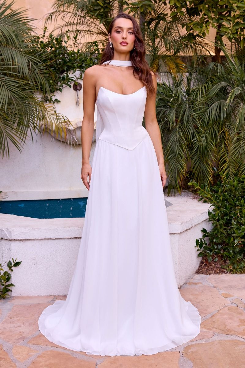 A-Line Chiffon Sculpted Corset Bodice Gown (CD386W)
