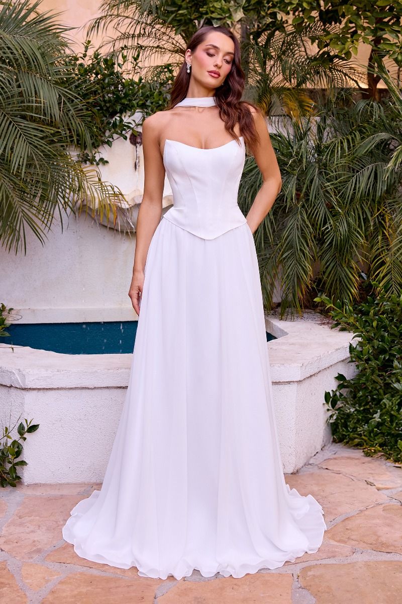 A-Line Chiffon Sculpted Corset Bodice Gown (CD386W)