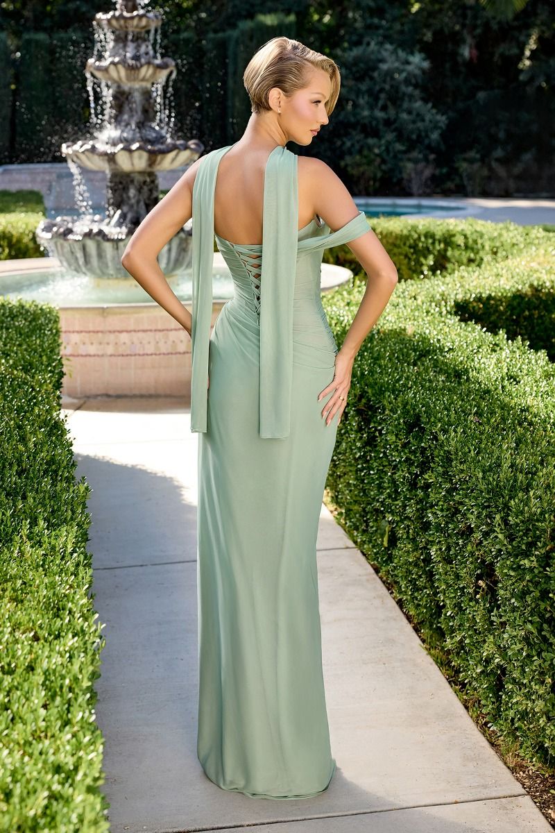 Off the Shoulder Sweetheart Chiffon Fitted Gown (CD406)