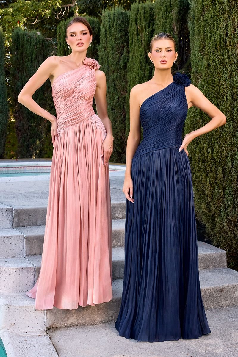 Luxe One Shoulder Pleated Chiffon A-Line Gown (CD415)
