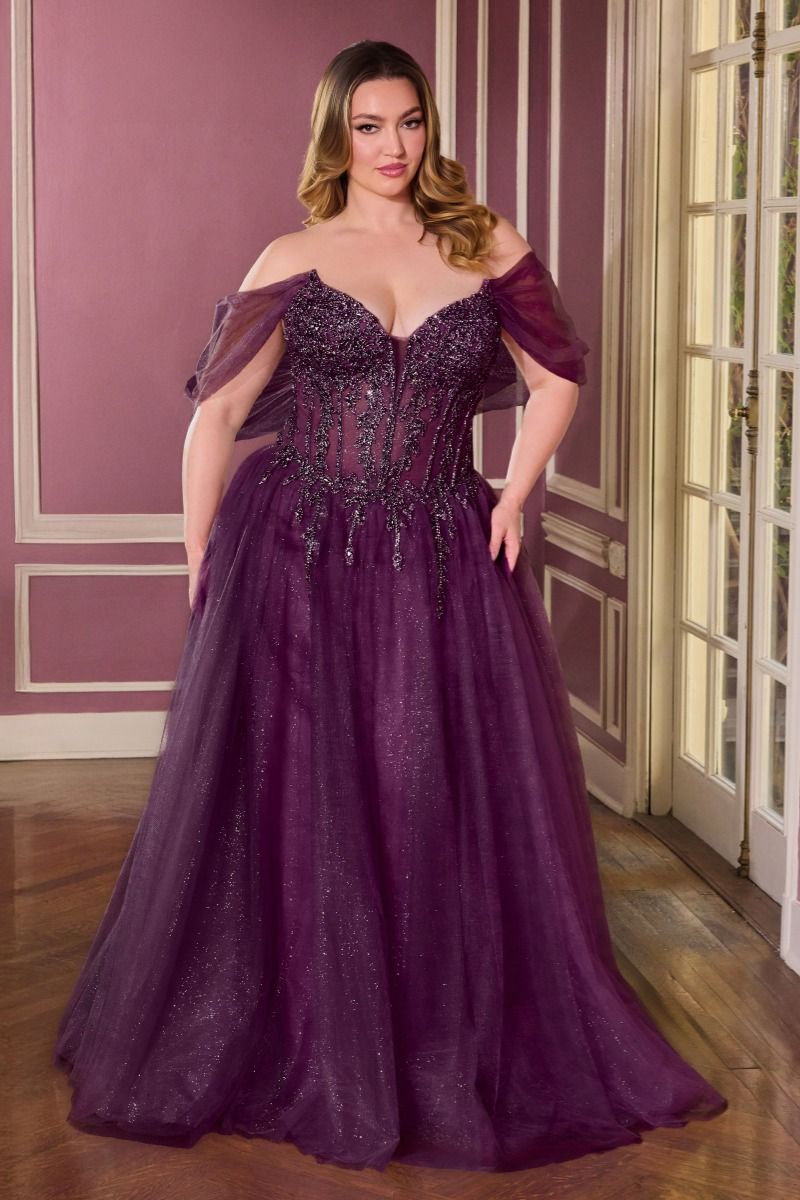 Radiant Off the Shoulder Beaded Corset A Line Tulle Gown (CD721C)