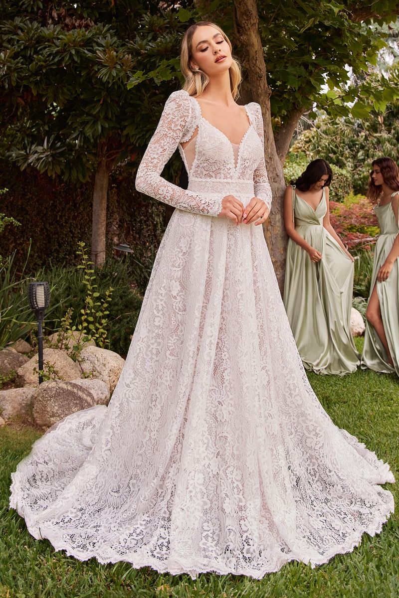 Lace A-Line Dress & Removable Jacket (CD862W)